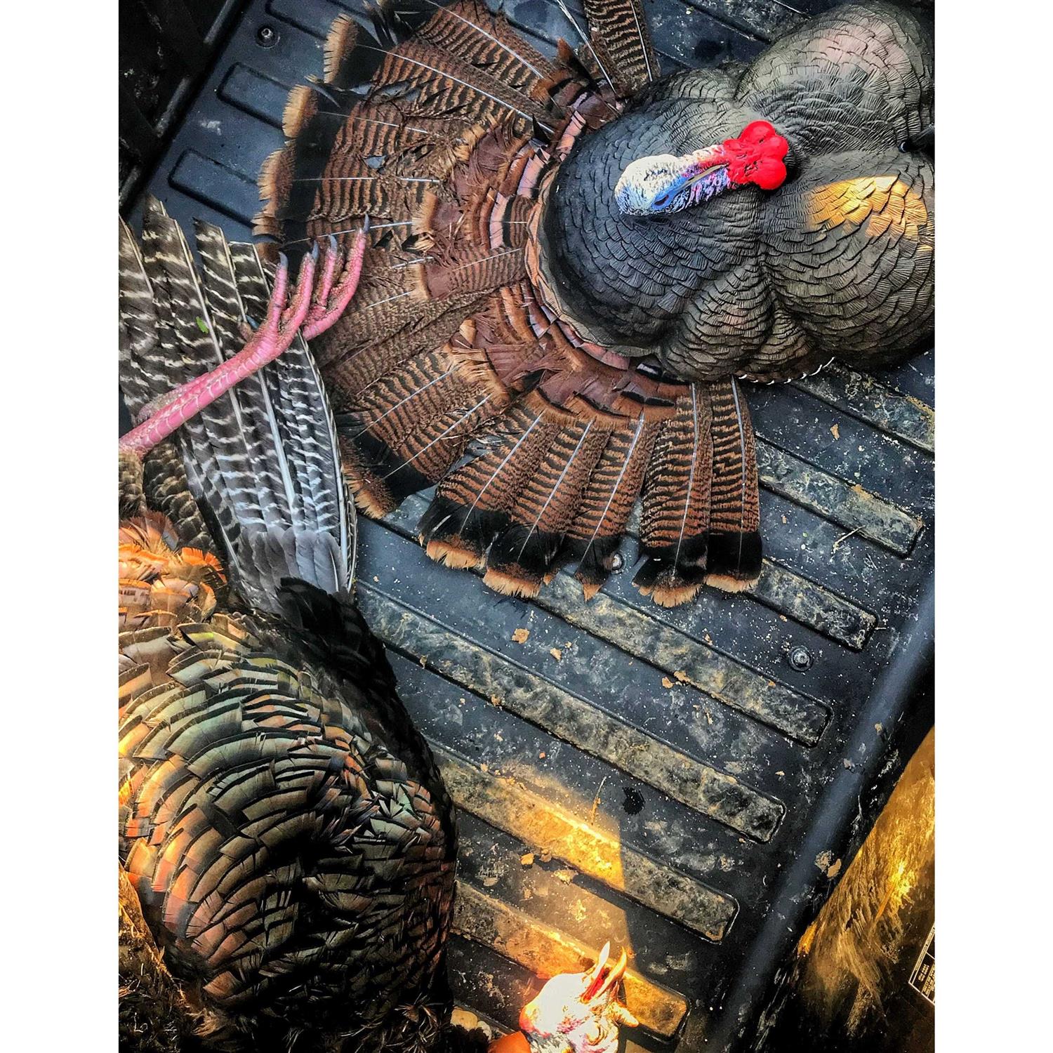 Flextone Thunder Creeper Turkey Decoy - Image 4