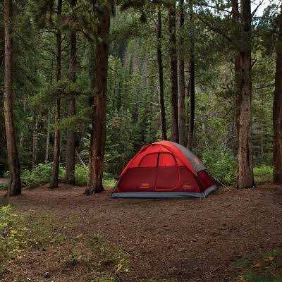 Coleman Flatwoods II - Image 2