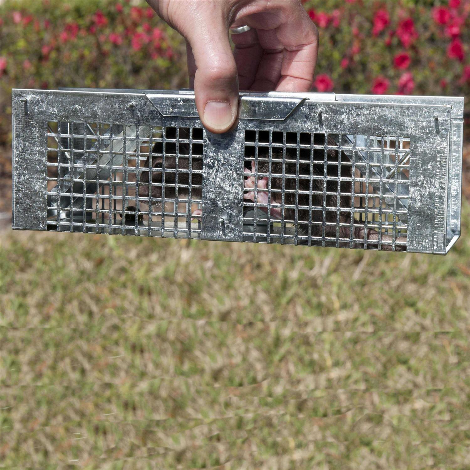 Havahart Cage Trap - Image 2