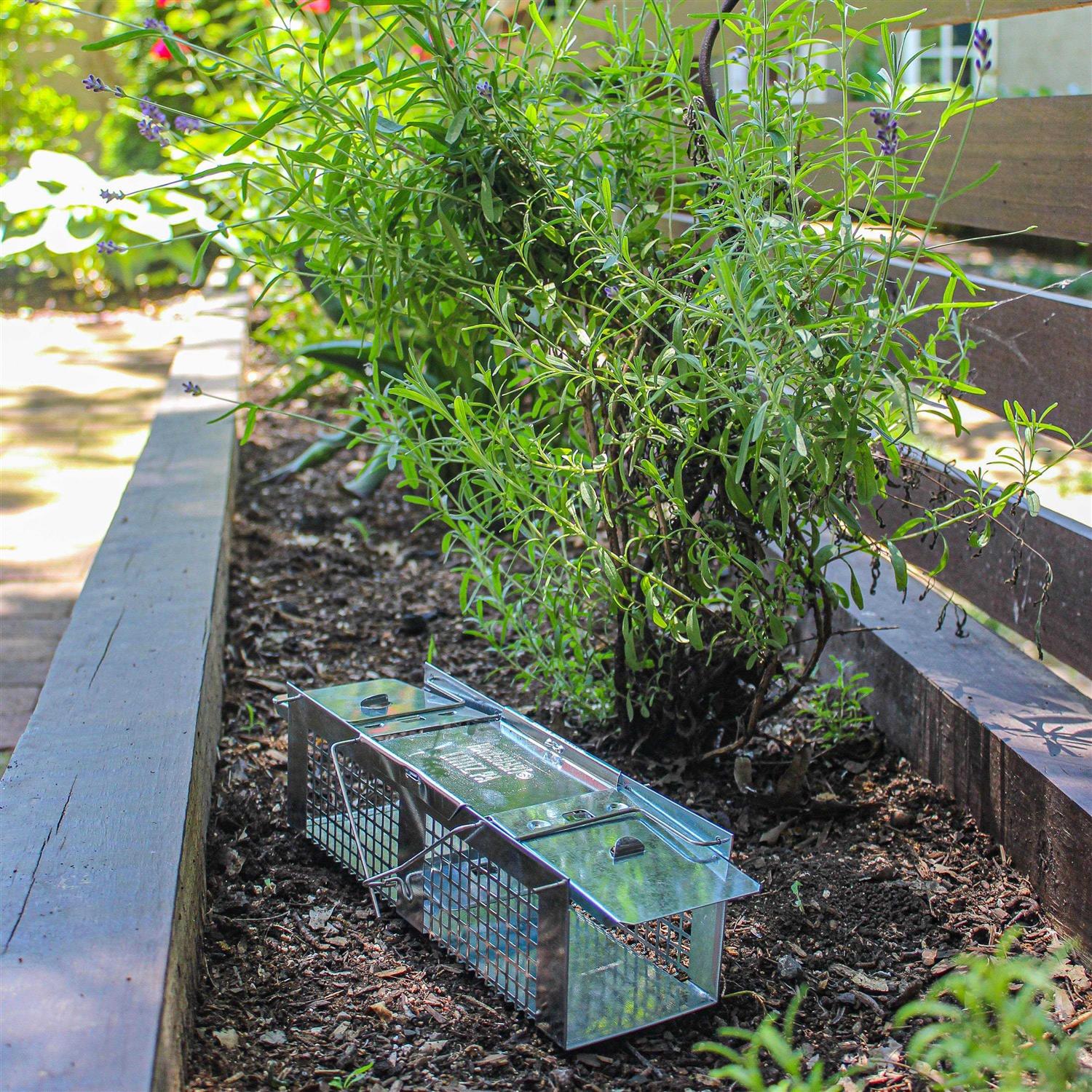 Havahart Cage Trap - Image 3