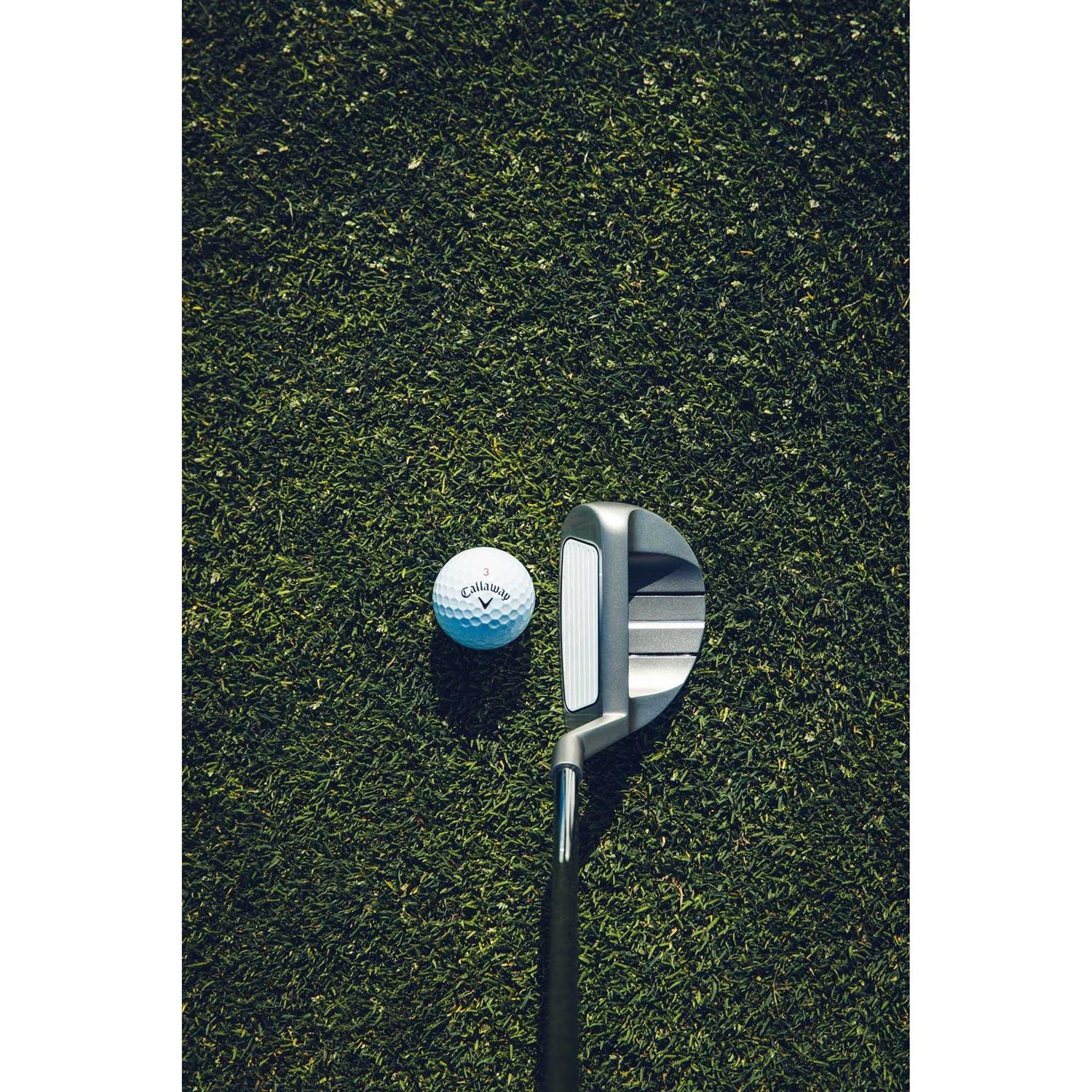 Odyssey Act Chipper - Image 5