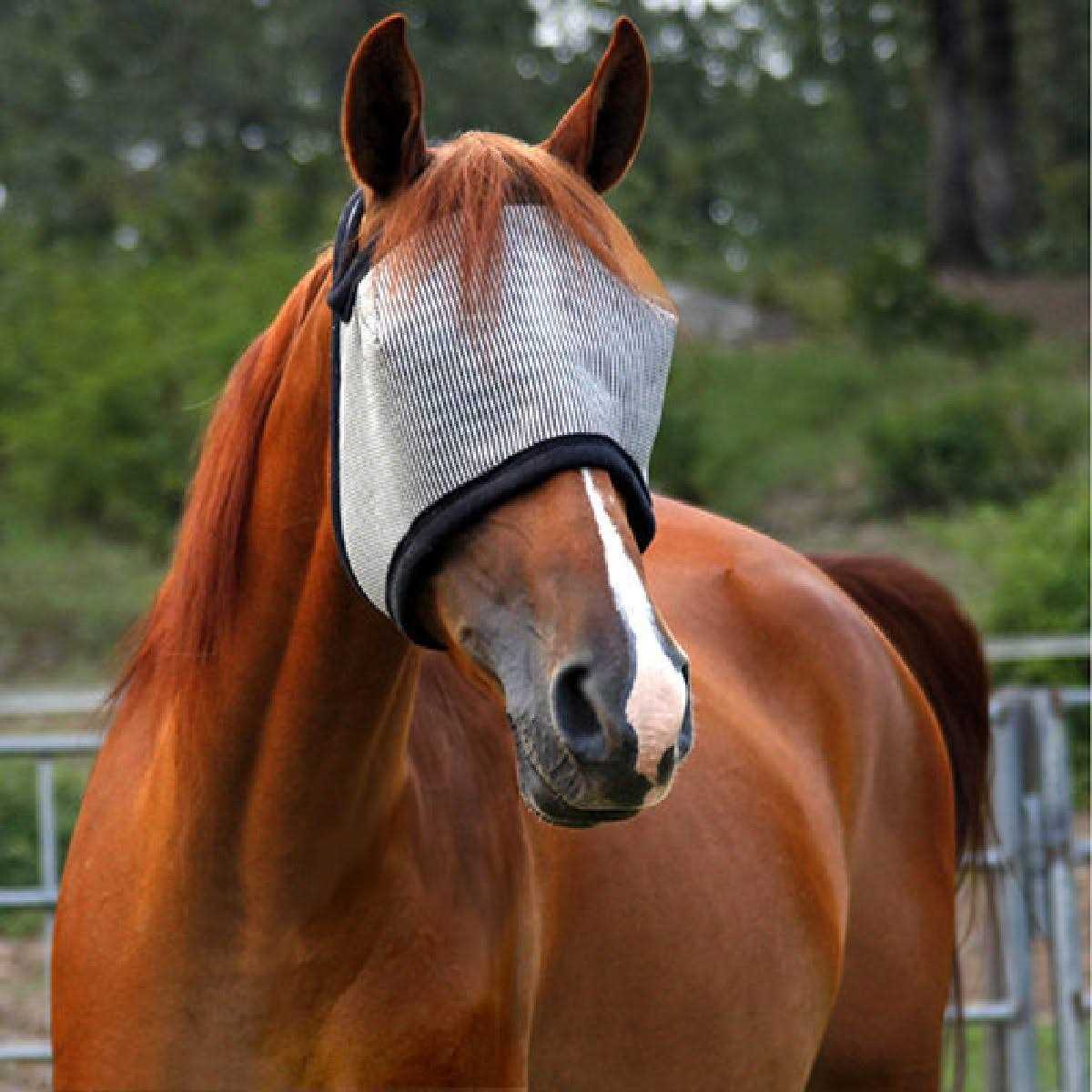 Durvet Duramask Fly Mask - Image 5