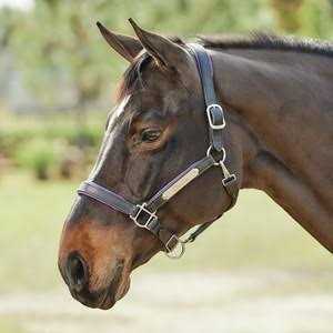 SmartPak Soft Padded Leather Halter