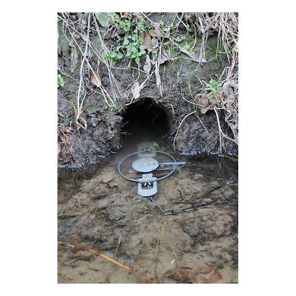 Duke Coil Spring Trap - Image 4