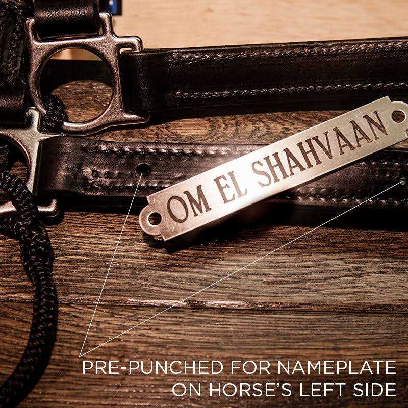 Classic Leather Hybrid Halter Yes - Image 2