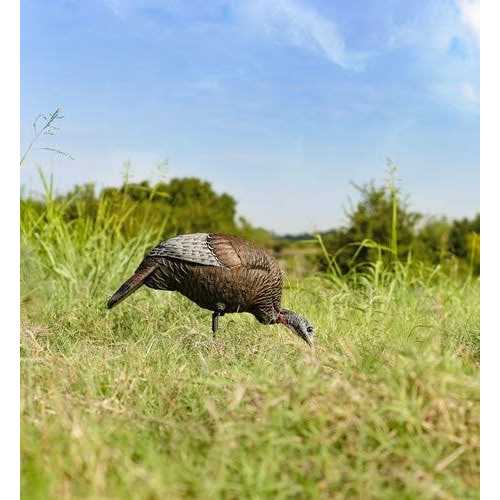 Flextone Thunder Chick Feeder Decoy - Image 5