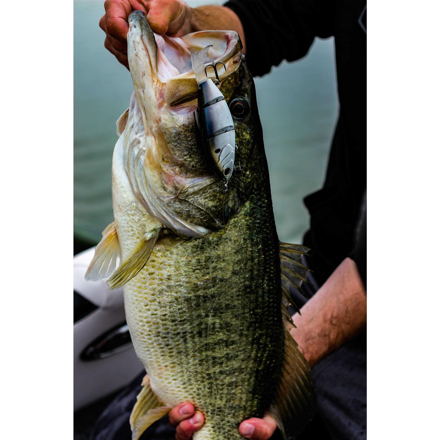 6th Sense Trace Sink Swimbait - Image 3