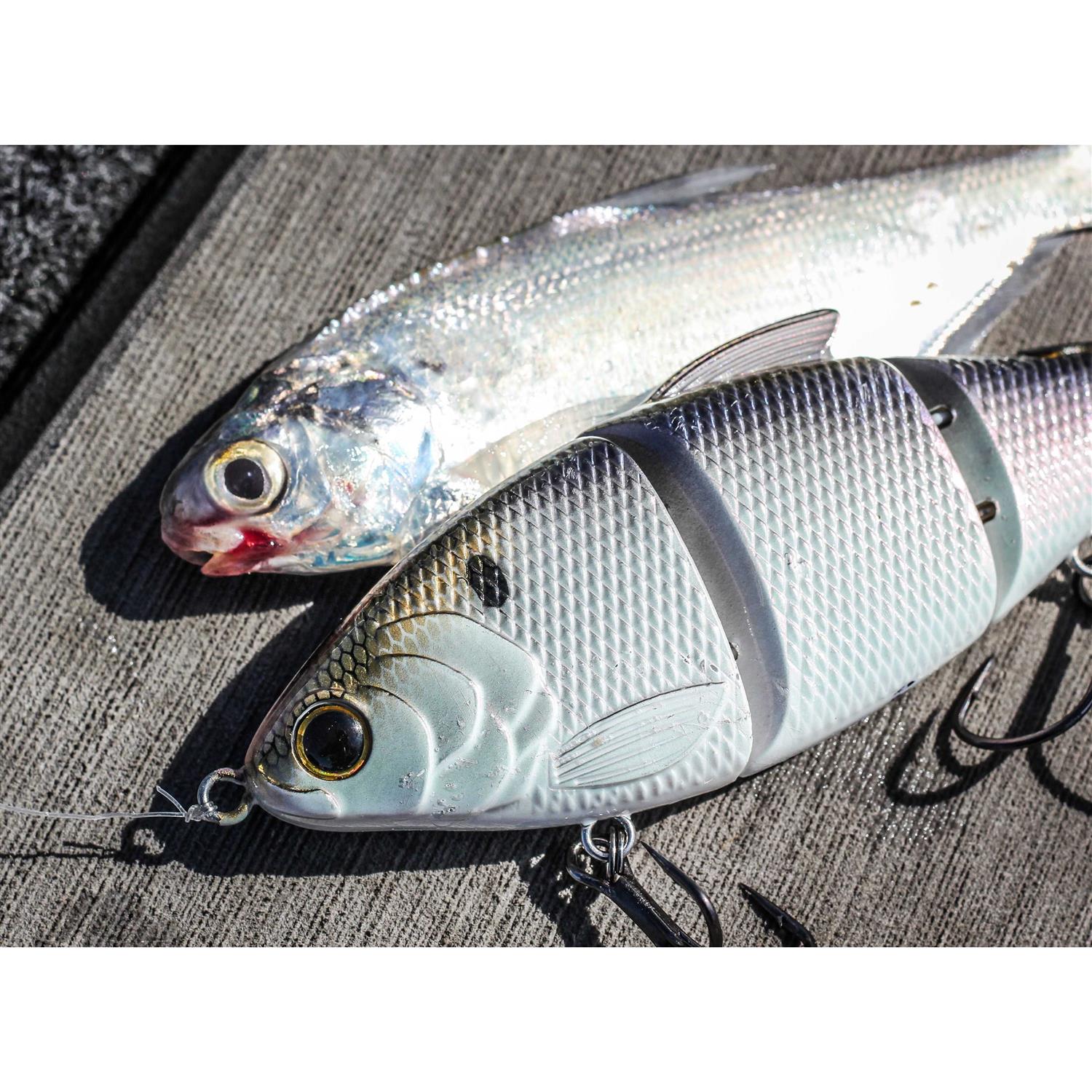 6th Sense Trace Sink Swimbait - Image 4