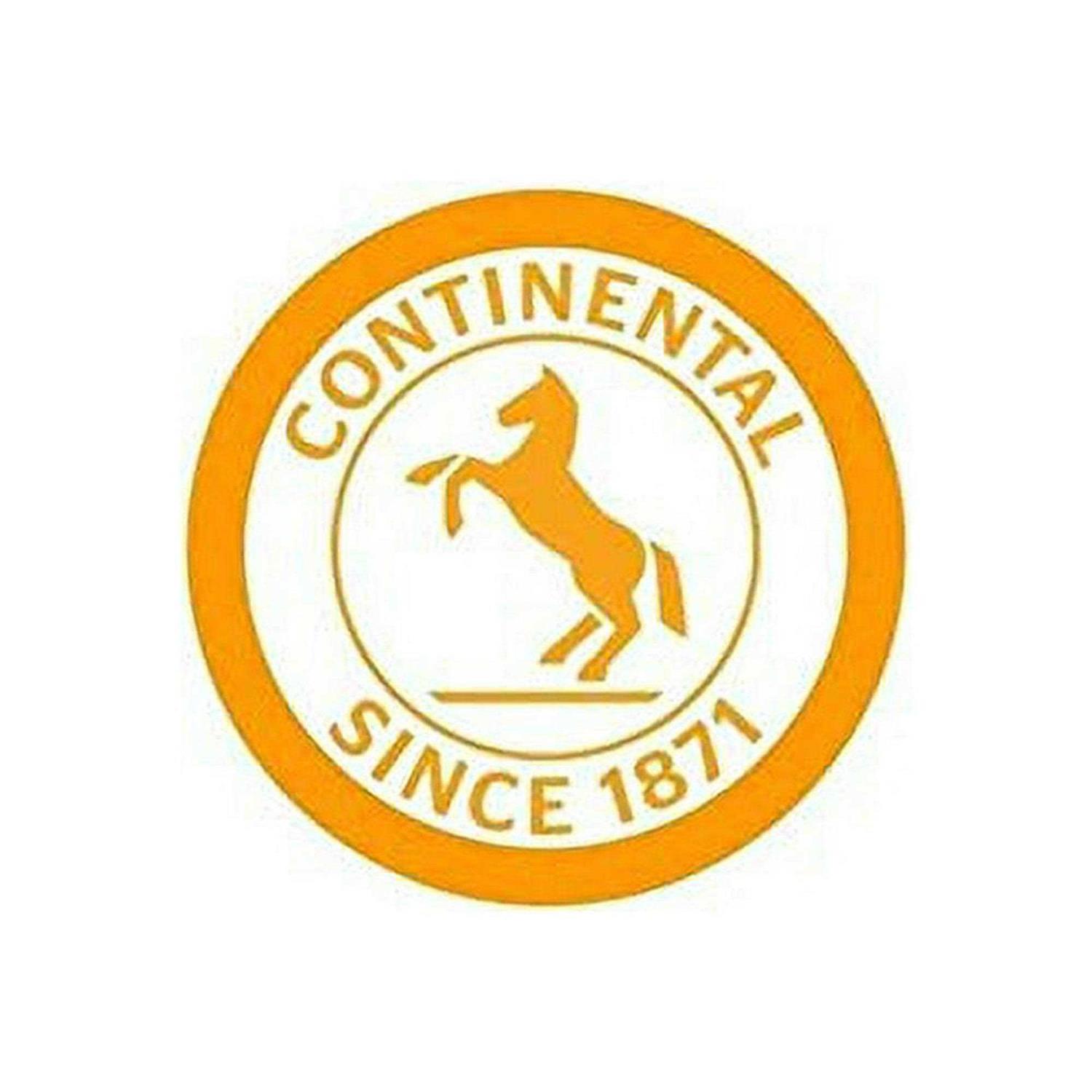 Continental Race 28 700x25-32c Bicycle Inner Tube Bundle - Image 5