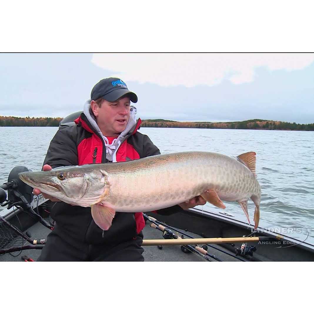 Daiwa LEXA Line Counter Reel - Image 5