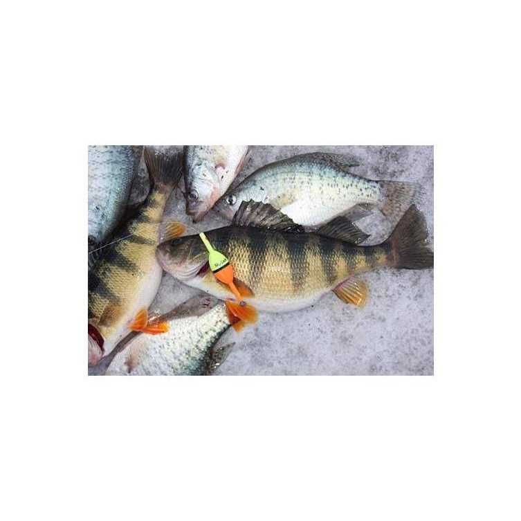 Clearly Outdoors Bobber Slip Lock - Image 5