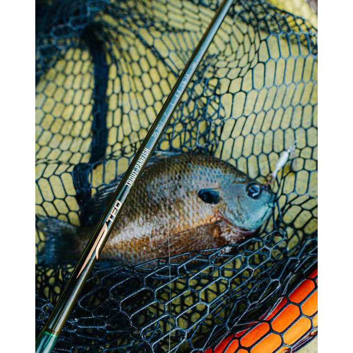 Temple Fork Outfitters Trout & Panfish Spinning Rod - Image 4