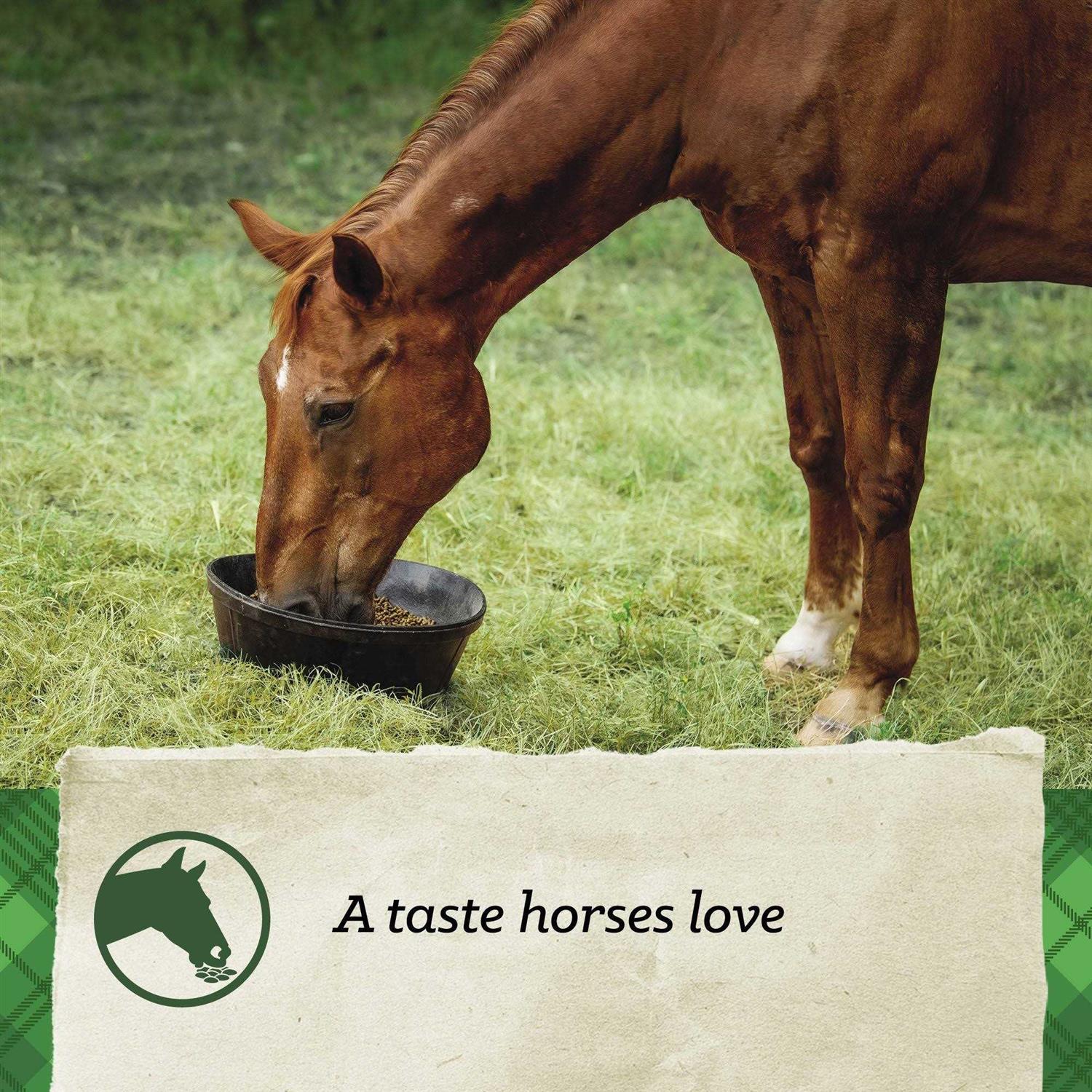 Nutrena SafeChoice Senior Horse Feed - Image 3