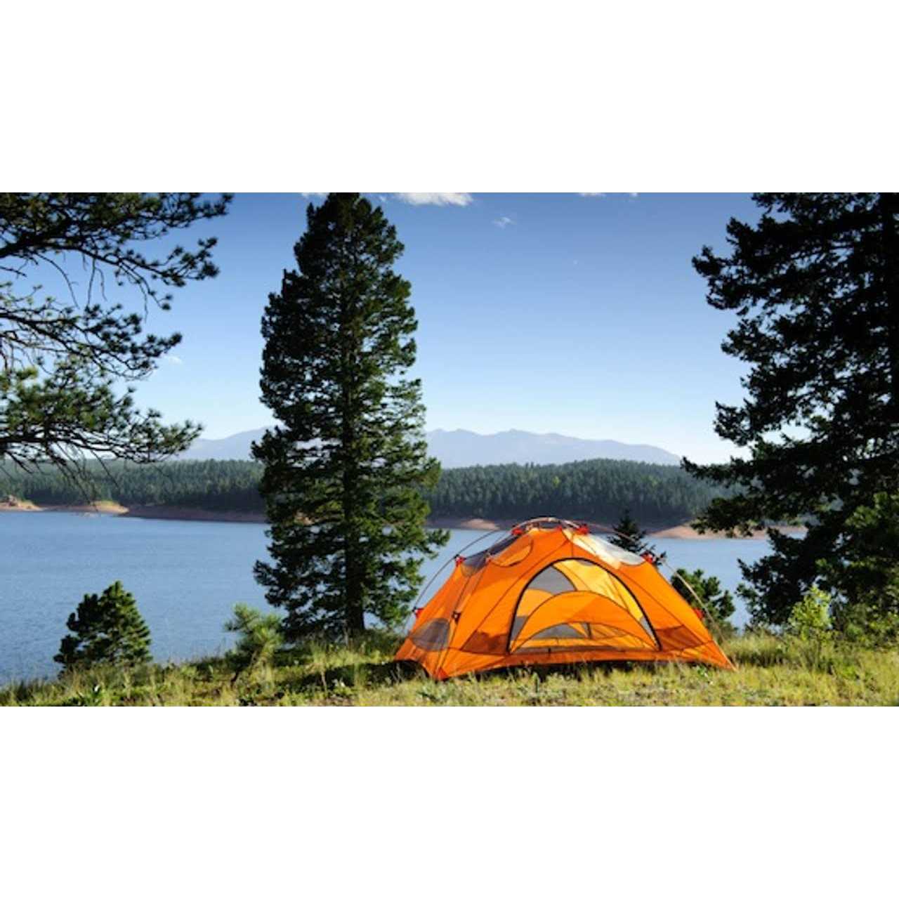 Northland Tungsten Short Shank Jig - Image 3