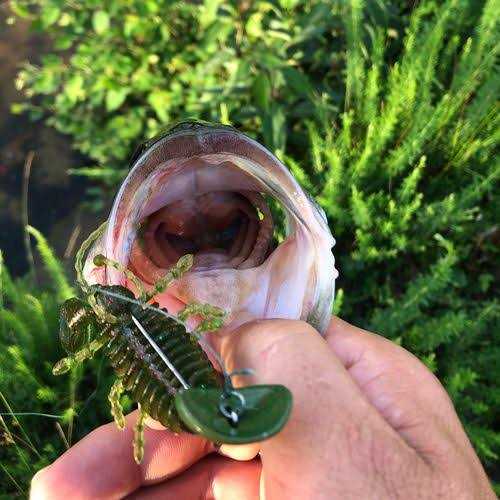 Headbanger RockerHead 3-Pack - Image 5