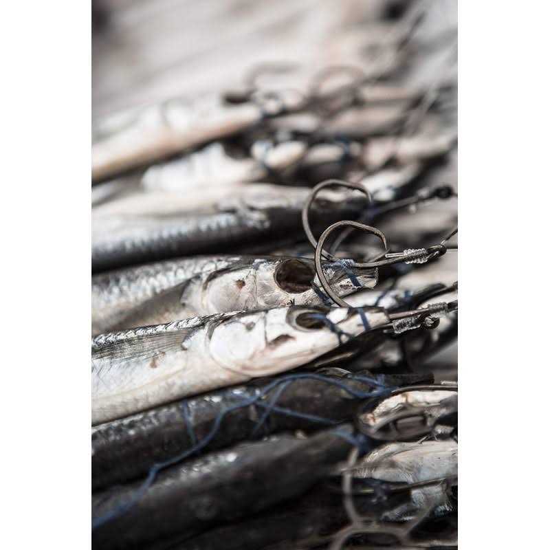 Mustad Demon Perfect Circle Hook - Image 3