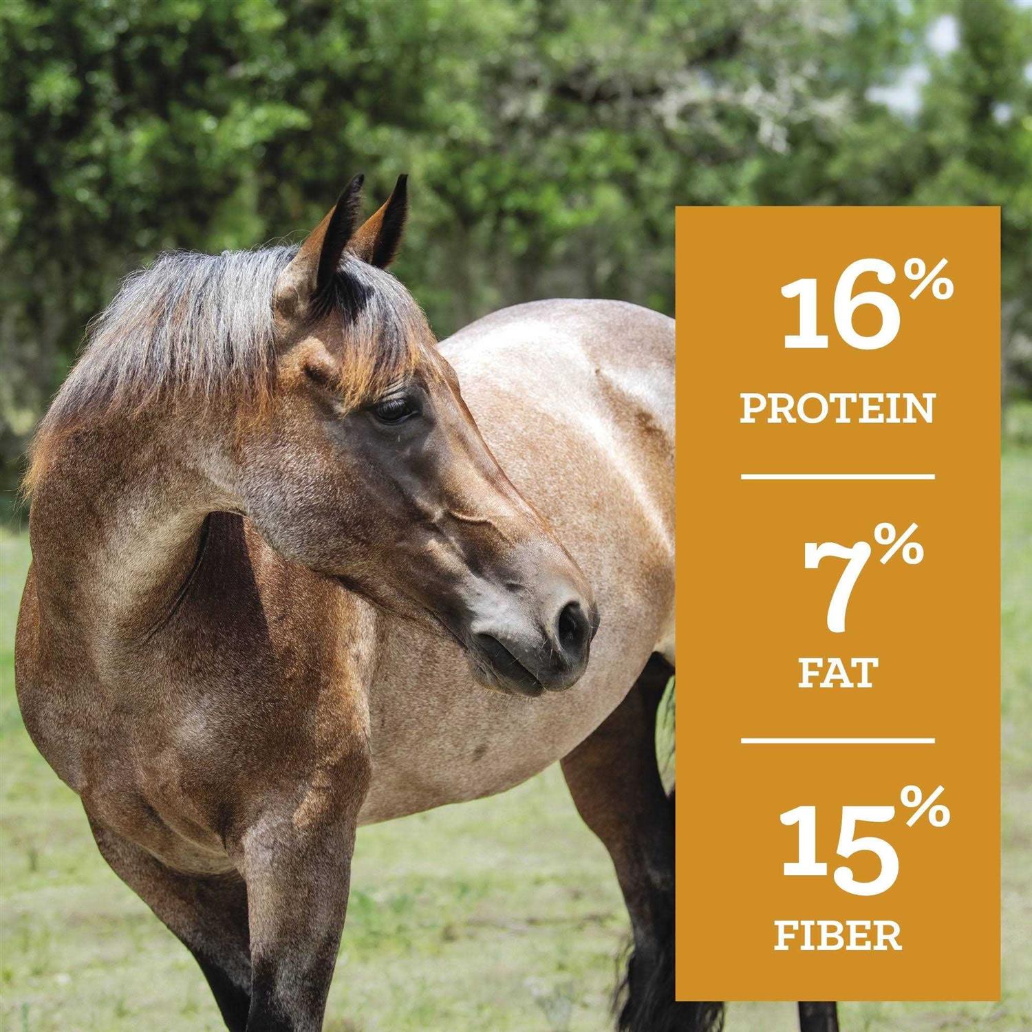 Nutrena SafeChoice Mare & Foal Feed - Image 4