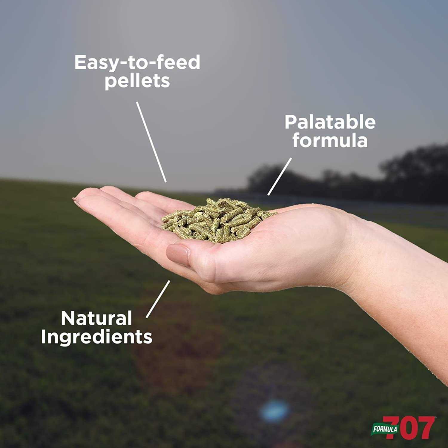 Formula 707 Daily Essentials - Image 5