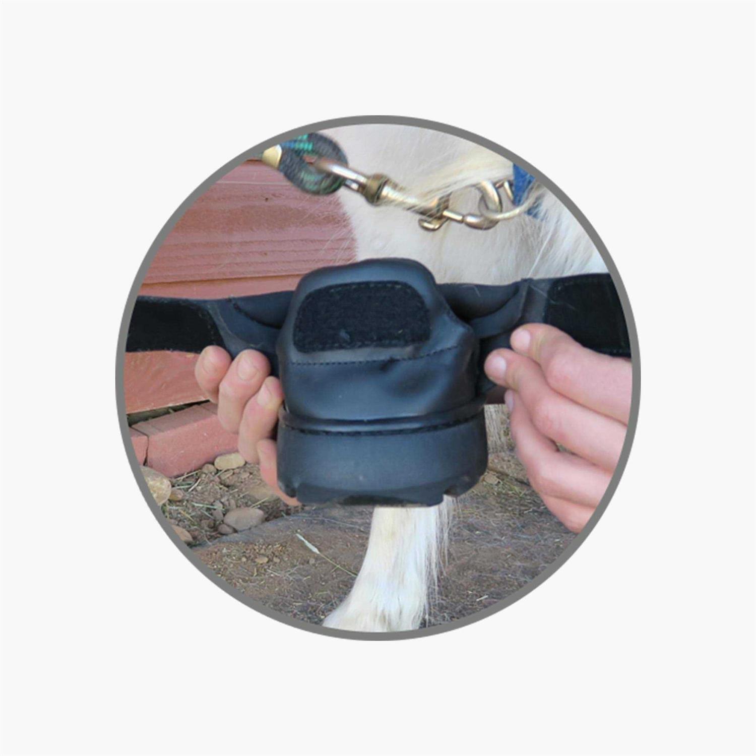 EasyCare Easyboot Mini Boot - Image 4