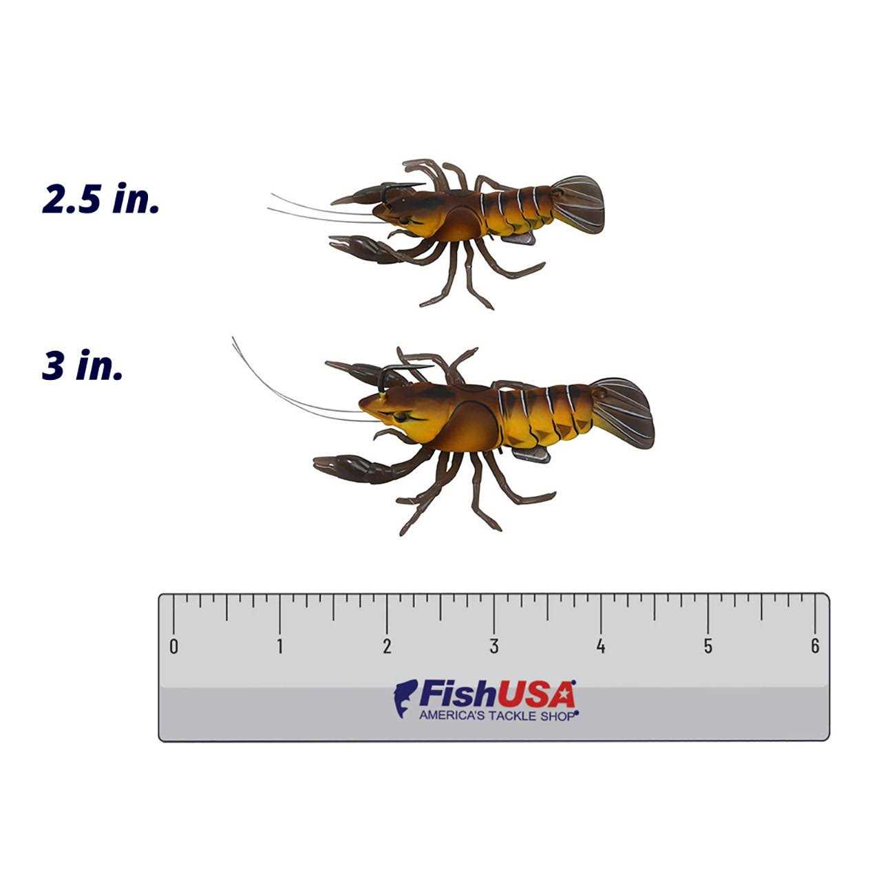 LIVETARGET Live Craw Finesse Bait - Image 4