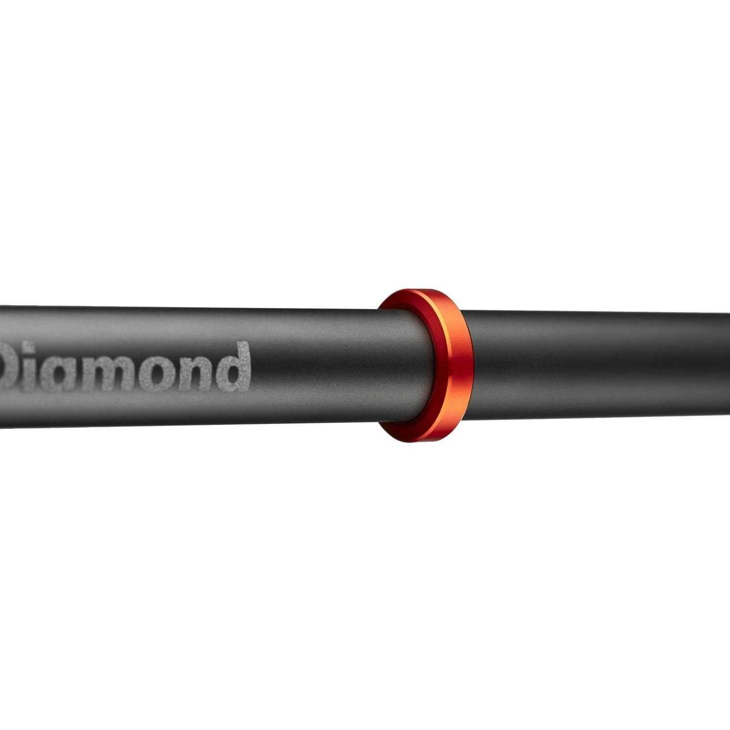 Black Diamond Carbon Whippet Ski Pole - Image 4