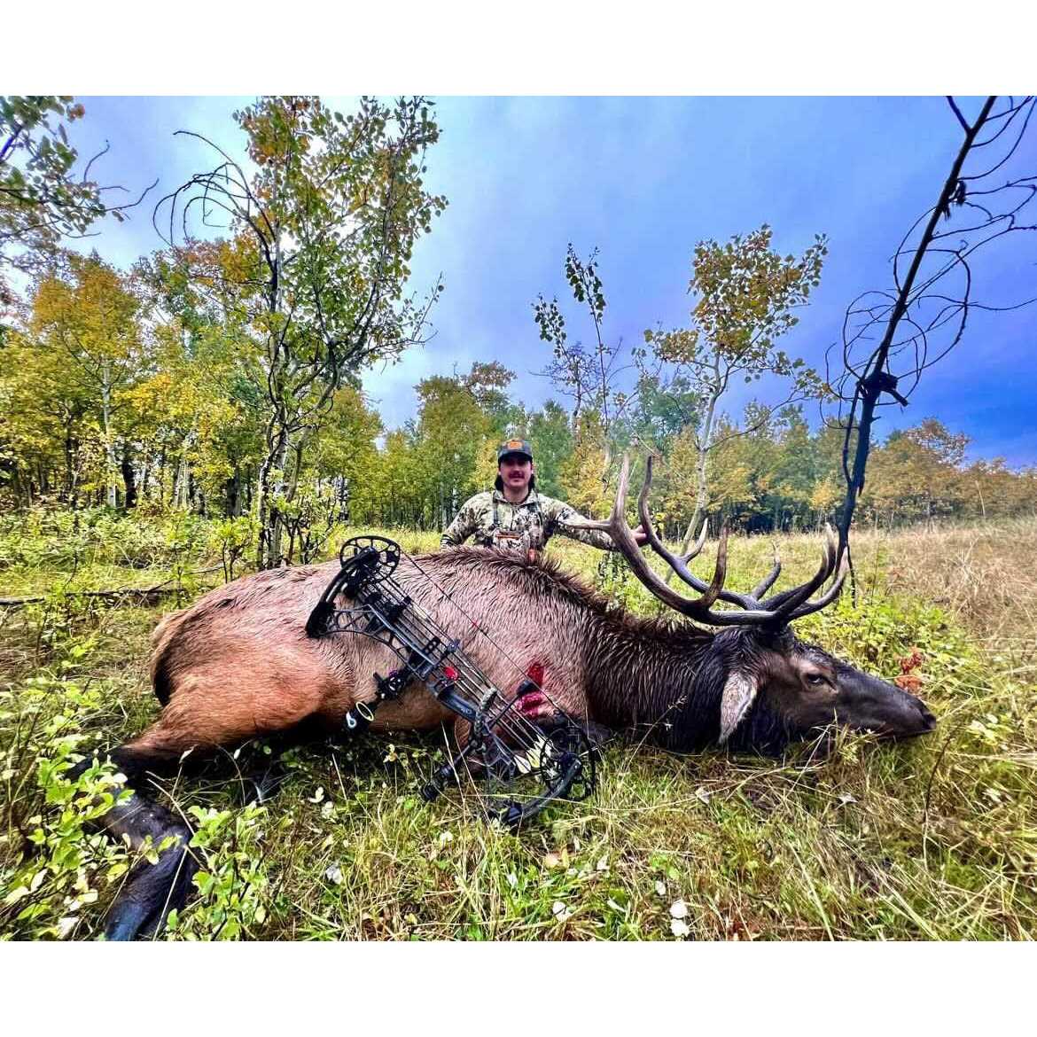 Tooth of the Arrow S-Series Broadhead 1 - Image 4