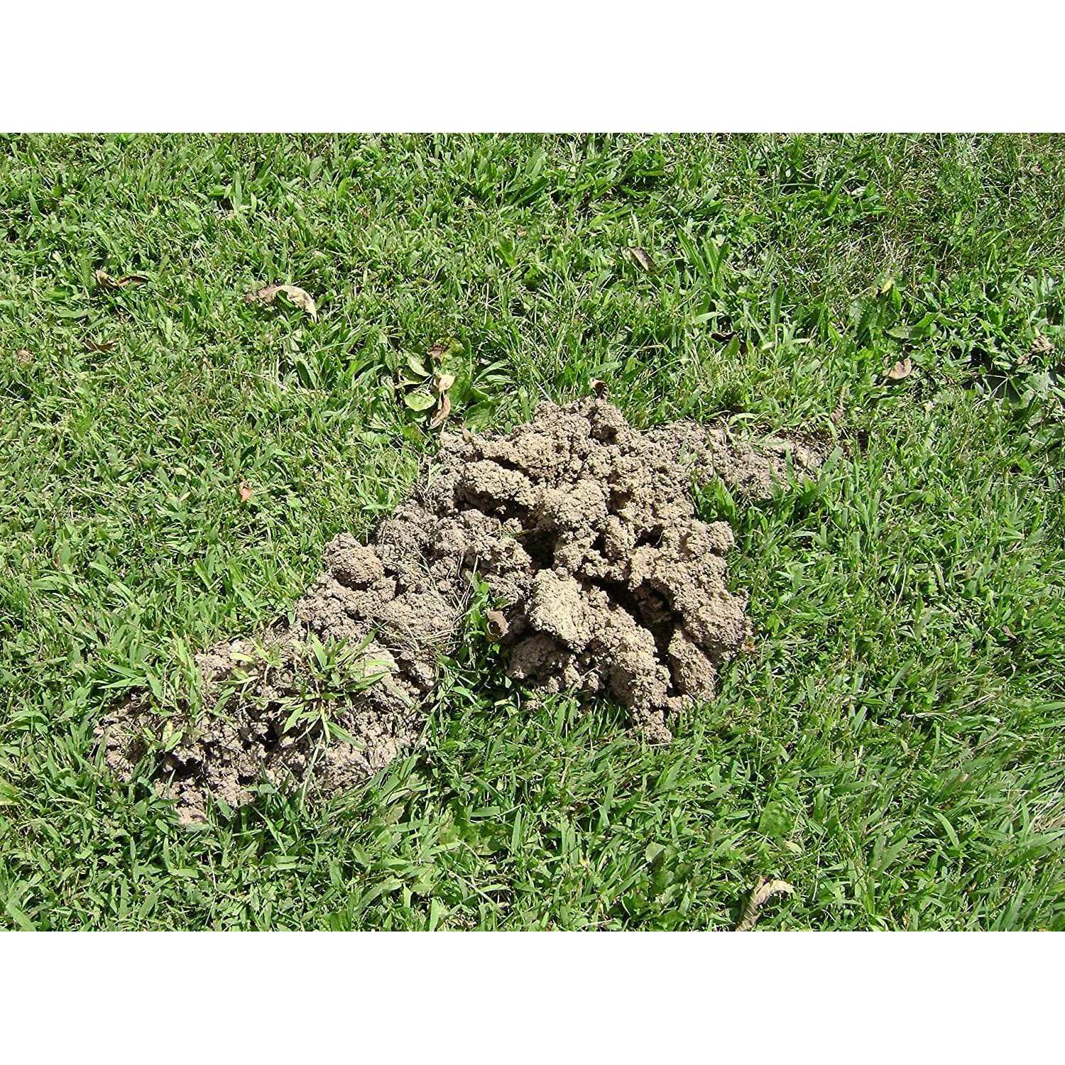 Tomcat Mole Trap - Image 5