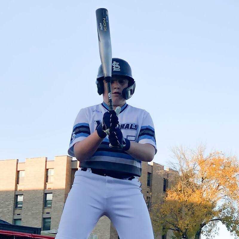 Rawlings Icon USA Baseball Bat - Image 5