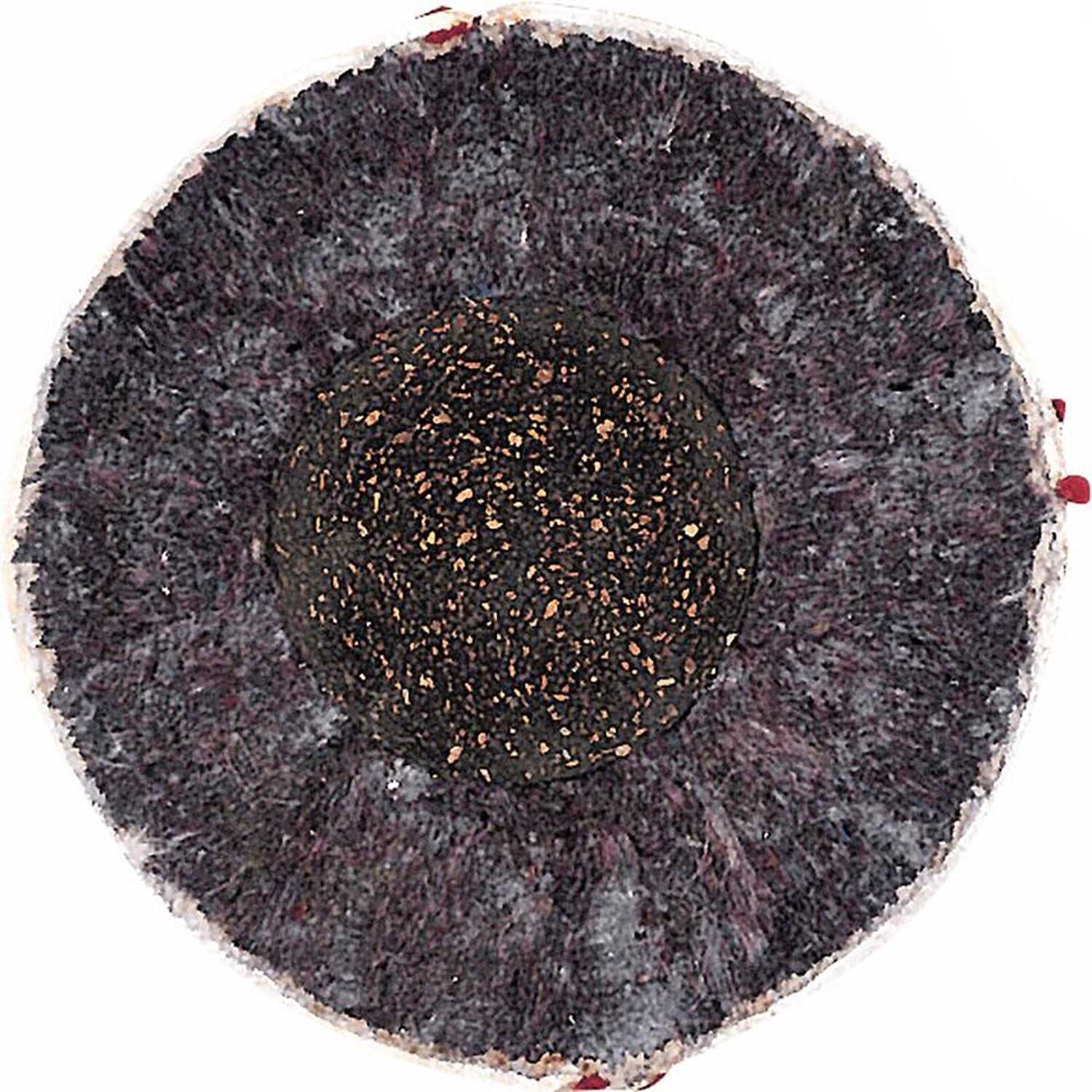 Rawlings Babe Ruth Baseball - Image 3