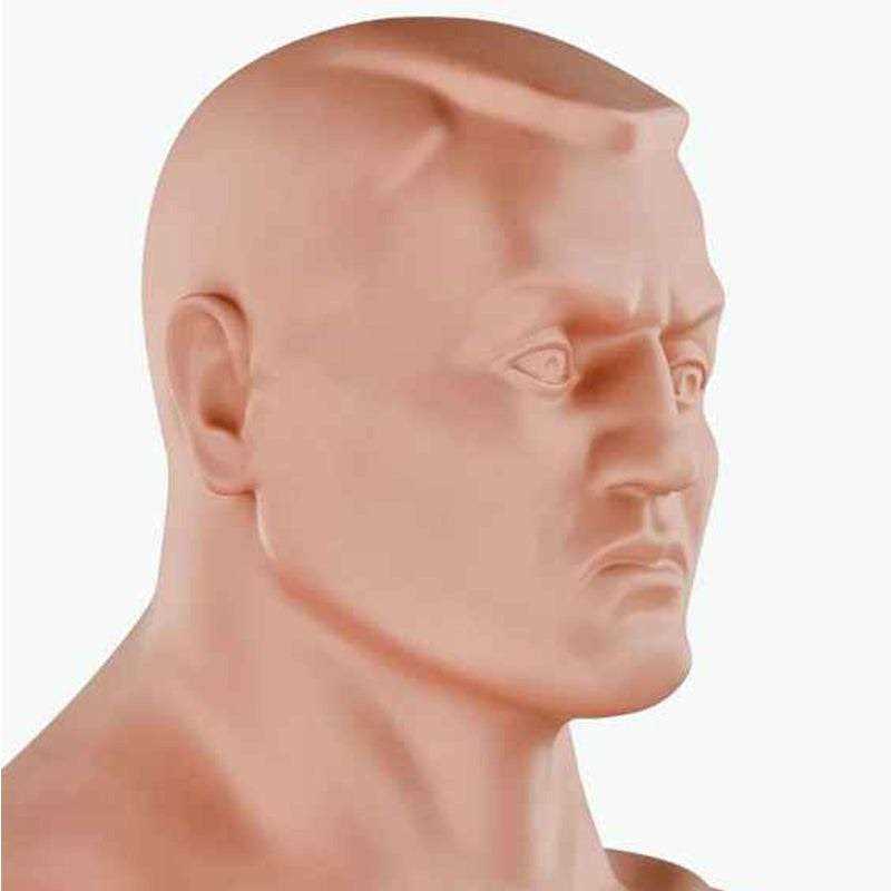 Century Versys Vs.bob Punch Bag - Image 3