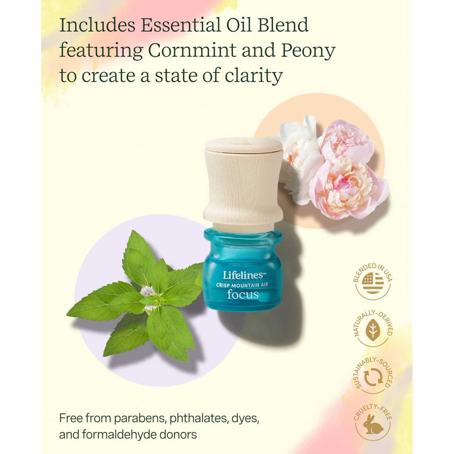 Lifelines Grounding Stones Meditative Fidget Collection plus Essential Oil Blend - Image 4